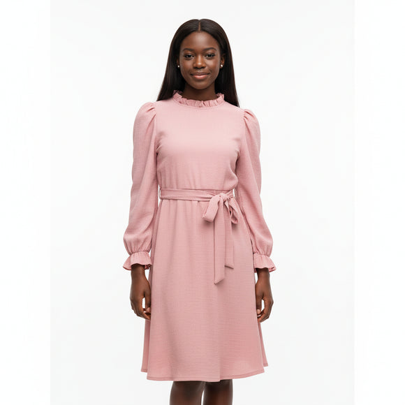 Pale Pink L S Dress REDTAG