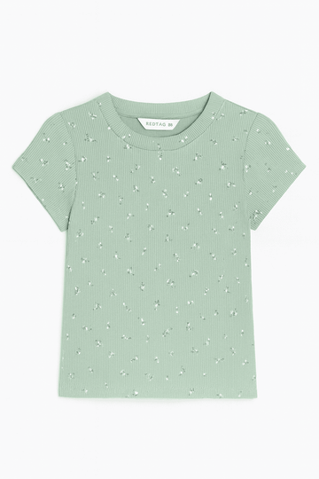Sage Aop Rib T Shirt Nawao.com