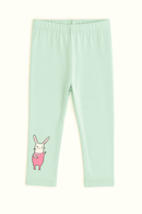 Sage Solid Leggings Green Nawao.com