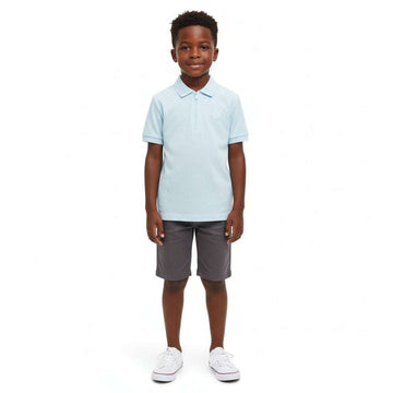 Sky Blue Regular Collar Zipneck Polo Sky Blue Nawao.com