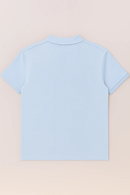 Solid Polo Shirt Pale Blue Nawao.com