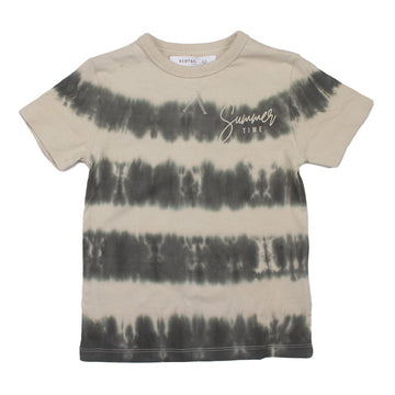 Redtag Boy's Beige T-Shirts