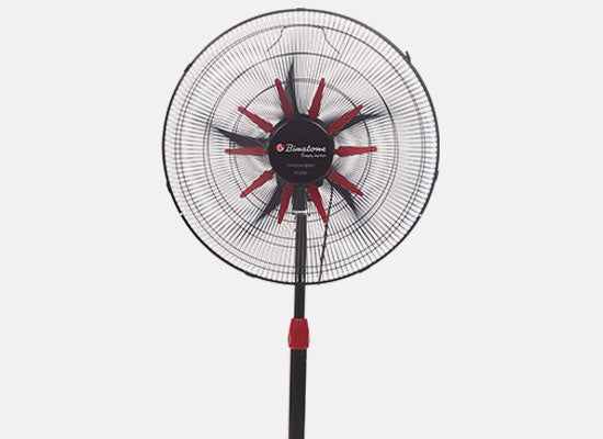 Stand Fan TS-2020