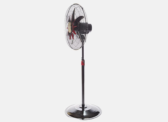 Stand Fan TS-2020
